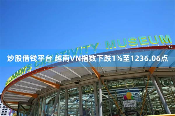 炒股借钱平台 越南VN指数下跌1%至1236.06点