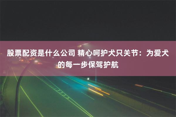 股票配资是什么公司 精心呵护犬只关节：为爱犬的每一步保驾护航