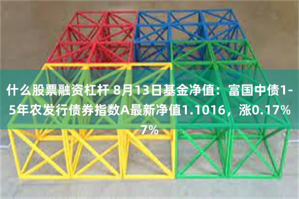 什么股票融资杠杆 8月13日基金净值：富国中债1-5年农发行债券指数A最新净值1.1016，涨0.17%