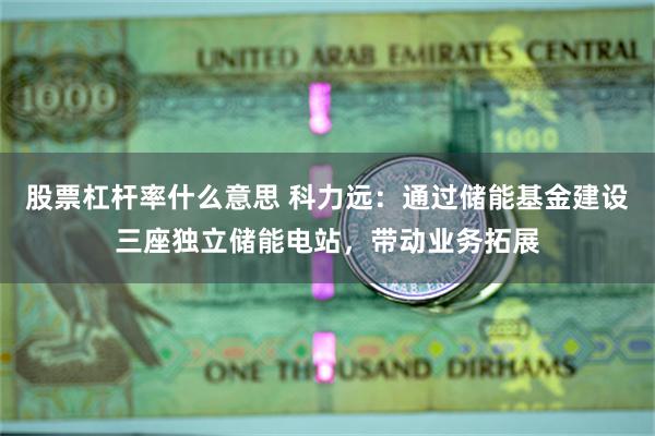 股票杠杆率什么意思 科力远：通过储能基金建设三座独立储能电站，带动业务拓展