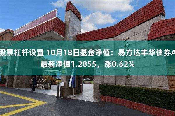 股票杠杆设置 10月18日基金净值：易方达丰华债券A最新净值1.2855，涨0.62%