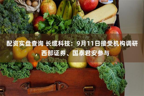 配资实盘查询 长缆科技：9月11日接受机构调研，西部证券、国泰君安参与