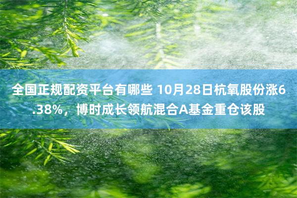 全国正规配资平台有哪些 10月28日杭氧股份涨6.38%，博时成长领航混合A基金重仓该股