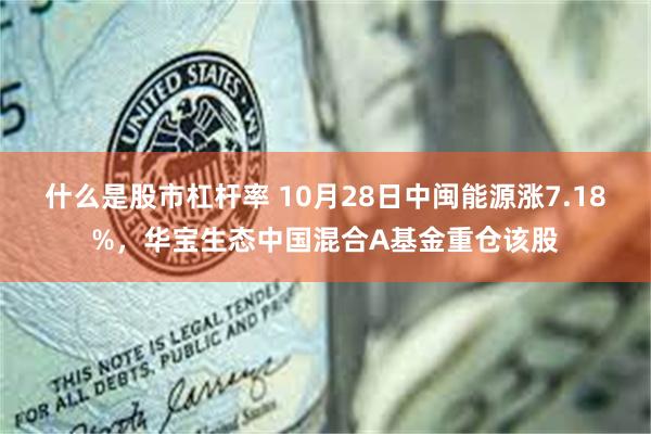 什么是股市杠杆率 10月28日中闽能源涨7.18%，华宝生态中国混合A基金重仓该股