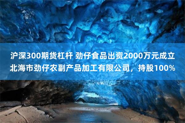 沪深300期货杠杆 劲仔食品出资2000万元成立北海市劲仔农副产品加工有限公司，持股100%