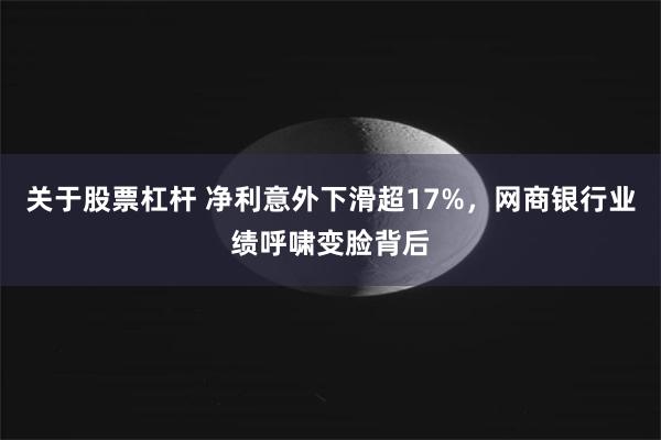 关于股票杠杆 净利意外下滑超17%，网商银行业绩呼啸变脸背后